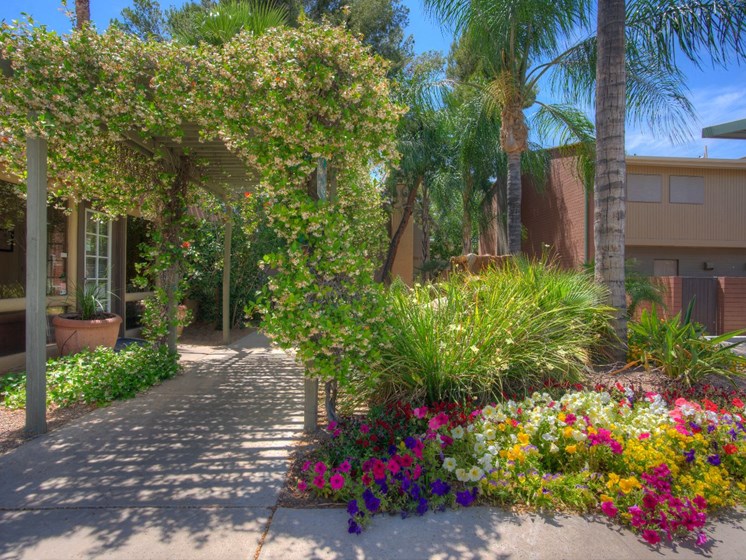 Landscaping at Copper Creek in Tucson, AZ